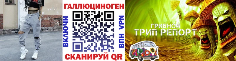 блэк спрут ссылка  Ржев  Псилоцибиновые грибы Cubensis 